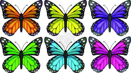Téléchargez les illustrations : Illustration vectorielle de papillons colorés - en licence libre de droit