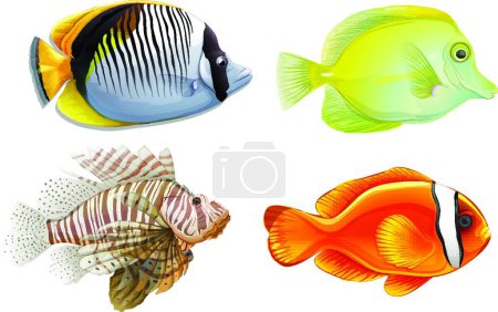 Ilustración de Ilustración vectorial de peces tropicales - Imagen libre de derechos