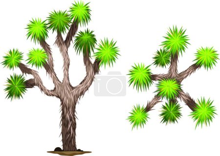 Illustration for A Yucca brevifolia vector illustration - Royalty Free Image