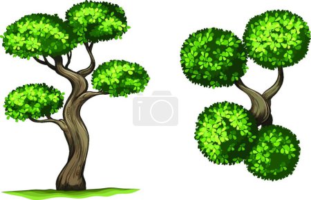 Téléchargez les illustrations : "iospyros rhodocalyx arbres illustration vectorielle - en licence libre de droit