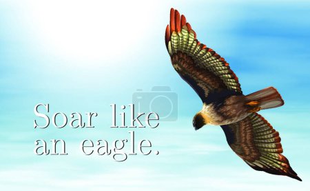 Ilustración de Águila hermosa ilustración vector - Imagen libre de derechos