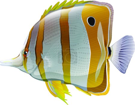 Illustration for A big fish beautiful vector illustration - Royalty Free Image