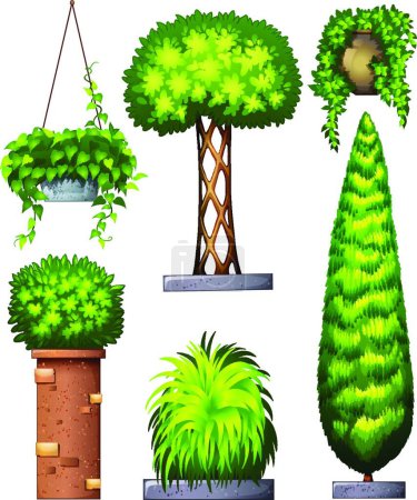 Téléchargez les illustrations : Différentes plantes décoratives belle illustration vectorielle - en licence libre de droit