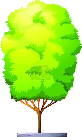 Illustration for A tall houseplant beautiful vector illustration - Royalty Free Image