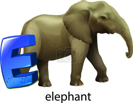 Illustration for "A letter E for elephant" - Royalty Free Image
