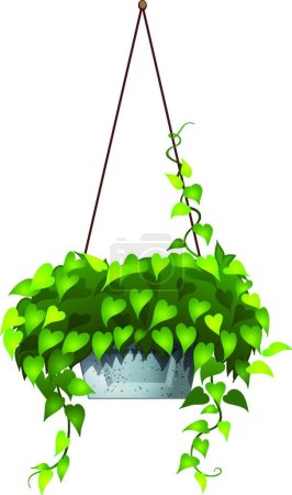 Ilustración de Una planta colgante hermosa ilustración vector - Imagen libre de derechos