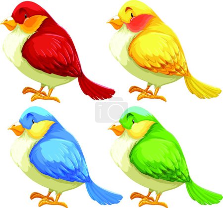 Téléchargez les illustrations : Oiseaux belle illustration vectorielle - en licence libre de droit