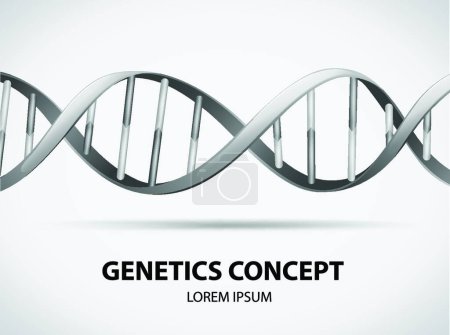 Téléchargez les illustrations : Génétique belle illustration vectorielle - en licence libre de droit