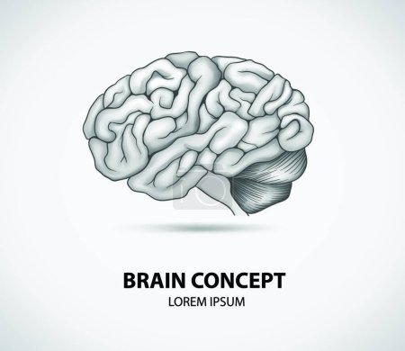 Téléchargez les illustrations : Illustration vectorielle de concept de cerveau - en licence libre de droit