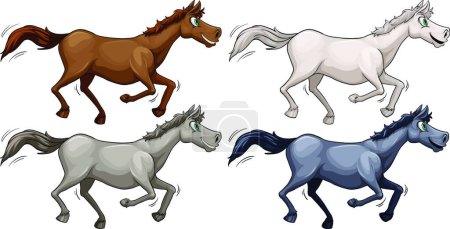 Illustration for Wild horses beautiful vector illustration - Royalty Free Image