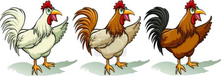 Illustration for Group of roosters, colorful vector illustration - Royalty Free Image