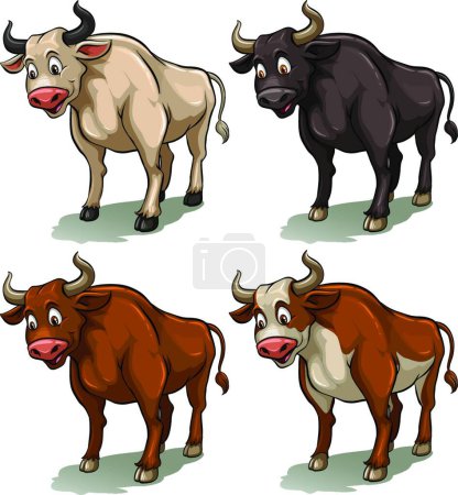 Illustration for Four bulls beautiful vector illustration - Royalty Free Image