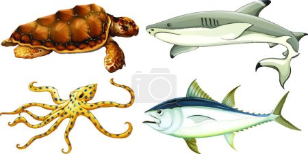 Téléchargez les illustrations : Différentes créatures marines belle illustration vectorielle - en licence libre de droit