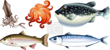 Illustration for Seafood beautiful vector illustration - Royalty Free Image
