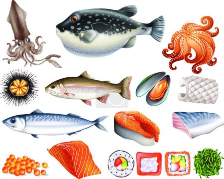 Téléchargez les illustrations : Fruits de mer belle illustration vectorielle - en licence libre de droit
