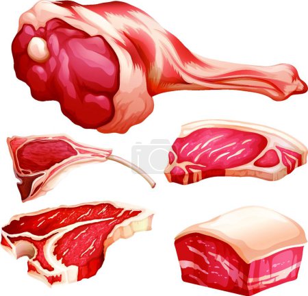 Ilustración de Carne de res conjunto hermoso vector ilustración - Imagen libre de derechos