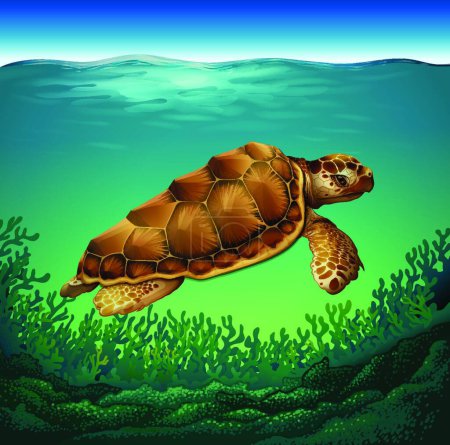 Ilustración de Tortuga hermosa ilustración vector - Imagen libre de derechos