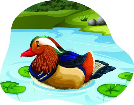 Illustration for Mandarin Duck beautiful vector illustration - Royalty Free Image