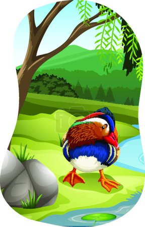 Ilustración de Ilustración del pato mandarín - Imagen libre de derechos