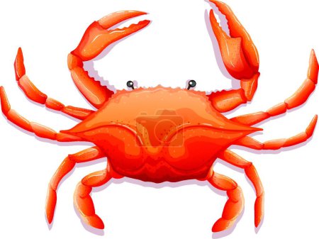 Téléchargez les illustrations : Crabe frais, illustration vectorielle design simple - en licence libre de droit