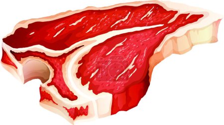 Illustration for T-bone meat, vector illustration simple design - Royalty Free Image
