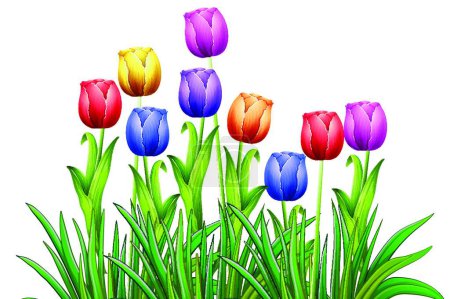 Ilustración de Ilustración de flores de tulipanes. concepto de flora - Imagen libre de derechos