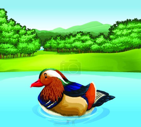 Illustration for Madarin duck, vector illustration simple design - Royalty Free Image