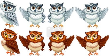 Illustration for Owls set, vector illustration simple design - Royalty Free Image
