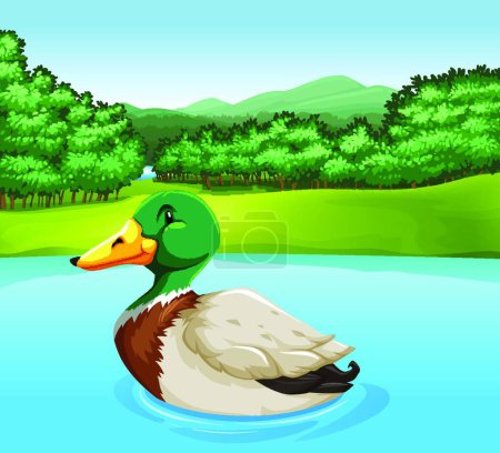 Téléchargez les illustrations : Canard dans la rivière, illustration vectorielle design simple - en licence libre de droit