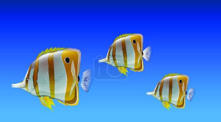 Illustration for Butterfly fish, vector illustration simple design - Royalty Free Image