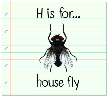 Ilustración de "La letra H de la tarjeta es para la mosca de la casa
" - Imagen libre de derechos