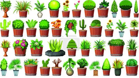 Photo pour Collection de plantes en pot sur blanc - image libre de droit