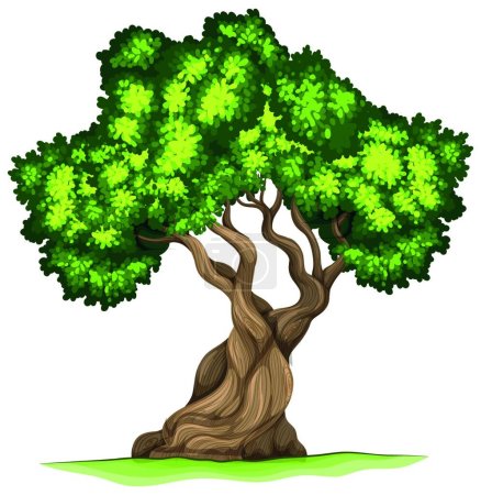 Ilustración de Bristlecone pine green tree - Imagen libre de derechos