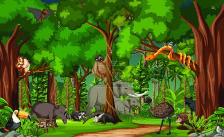 Téléchargez les illustrations : Animal sauvage personnage de dessin animé dans la scène de la forêt - en licence libre de droit