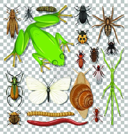 Téléchargez les illustrations : "Ensemble de différents insectes sur fond transparent" - en licence libre de droit