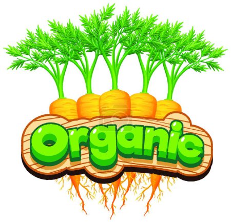 Illustration for Font design for word organic with fresh carrots - Royalty Free Image