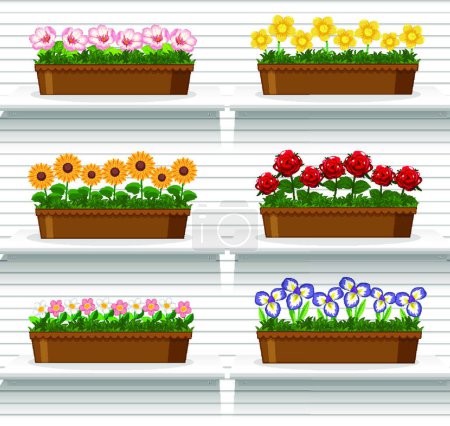 Ilustración de "Conjunto de plantas en estantes" - Imagen libre de derechos