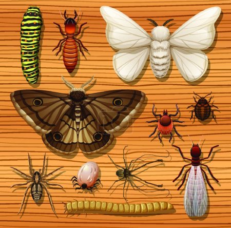 Téléchargez les illustrations : "Ensemble de différents insectes sur fond de papier peint en bois" - en licence libre de droit