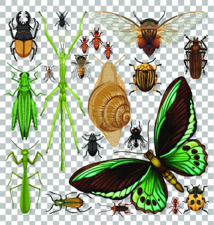 Photo pour Ensemble de différents insectes sur fond transparent - image libre de droit