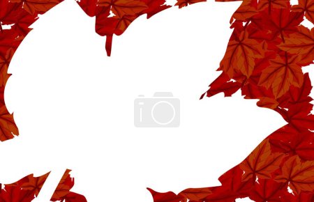 Illustration for Maple leaves, vector illustration - Royalty Free Image