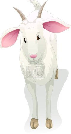 Téléchargez les illustrations : Illustration vectorielle animale de chèvre - en licence libre de droit
