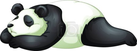 Illustration for Panda character vector illustration - Royalty Free Image
