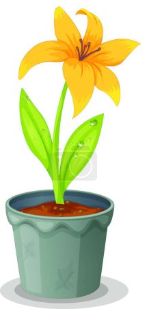 Illustration for Daffodil in a pot   vector  illustration - Royalty Free Image