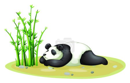 Téléchargez les illustrations : Panda, illustration vectorielle colorée - en licence libre de droit