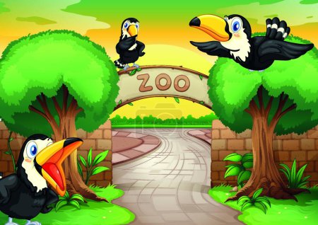 Illustration for Zoo and birds modern vector illustration - Royalty Free Image