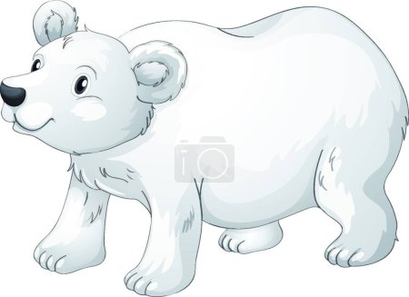 Illustration for Illustration of the polar bear - Royalty Free Image
