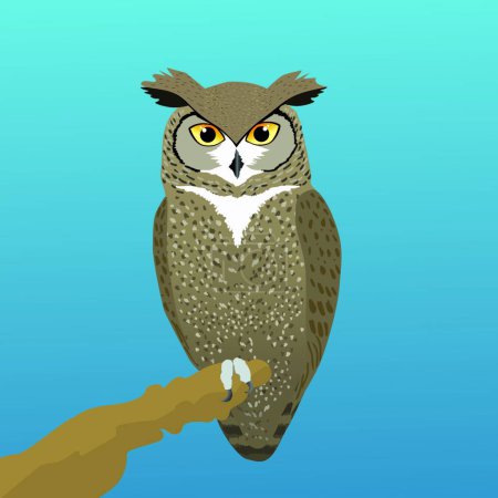 Illustration for Owl bird, web simple illustration - Royalty Free Image