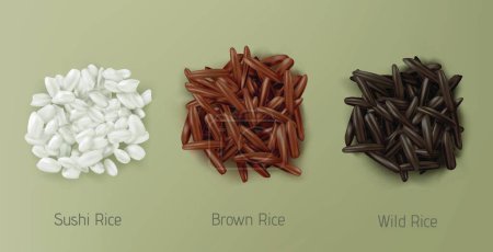 Téléchargez les illustrations : Sushi de riz, pieux de grains bruns et sauvages vue de dessus - en licence libre de droit