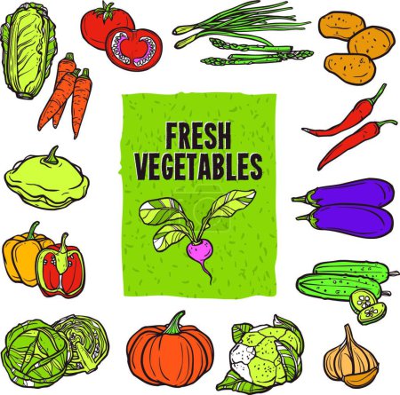 Illustration for Vegetable Sketch Set vector illustration - Royalty Free Image