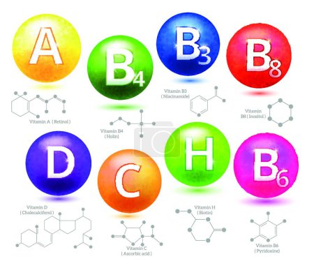 Illustration for Vitamins chemical structures vector illustration - Royalty Free Image